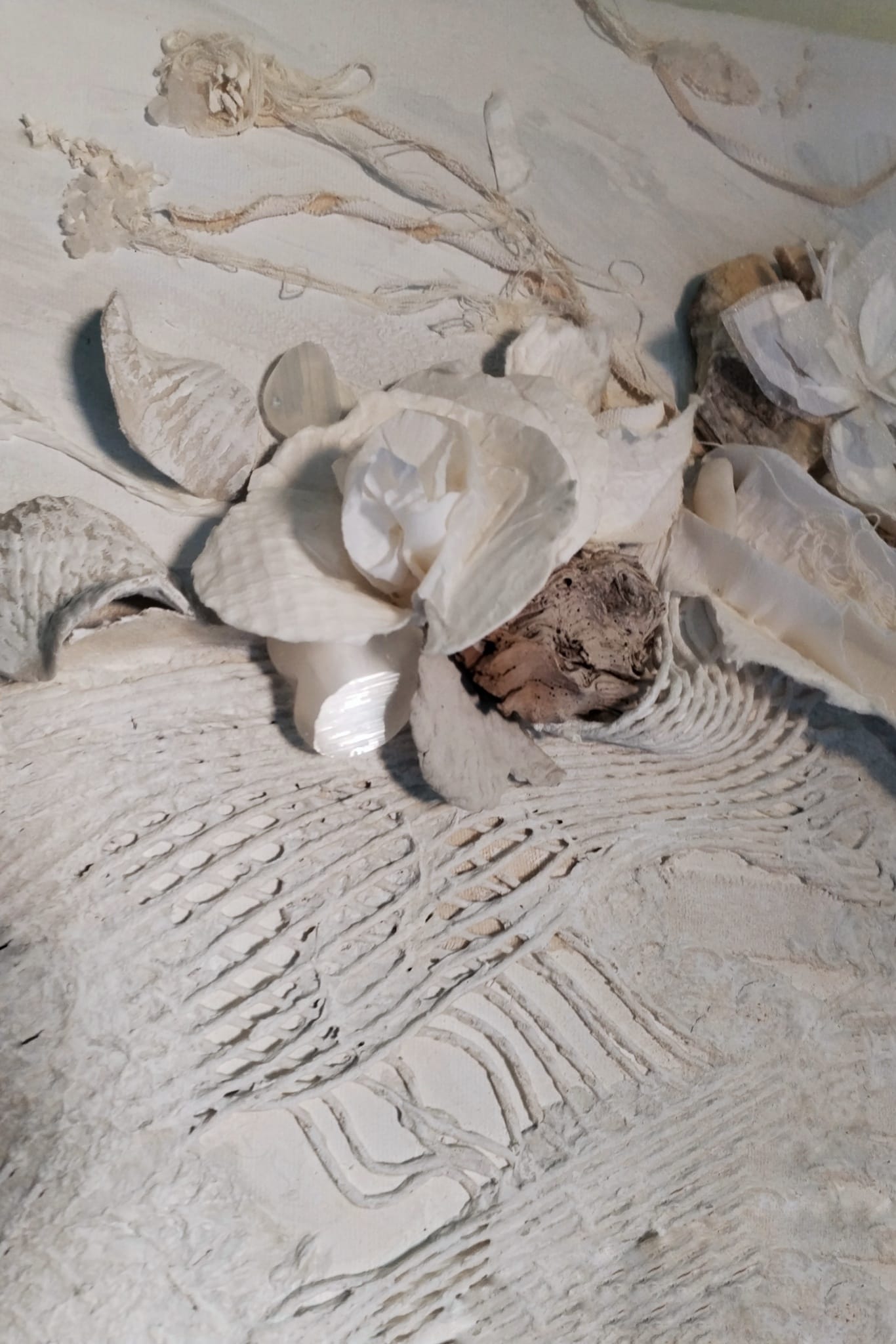 Som de Vent i Ales (Somos de Viento y Alas)