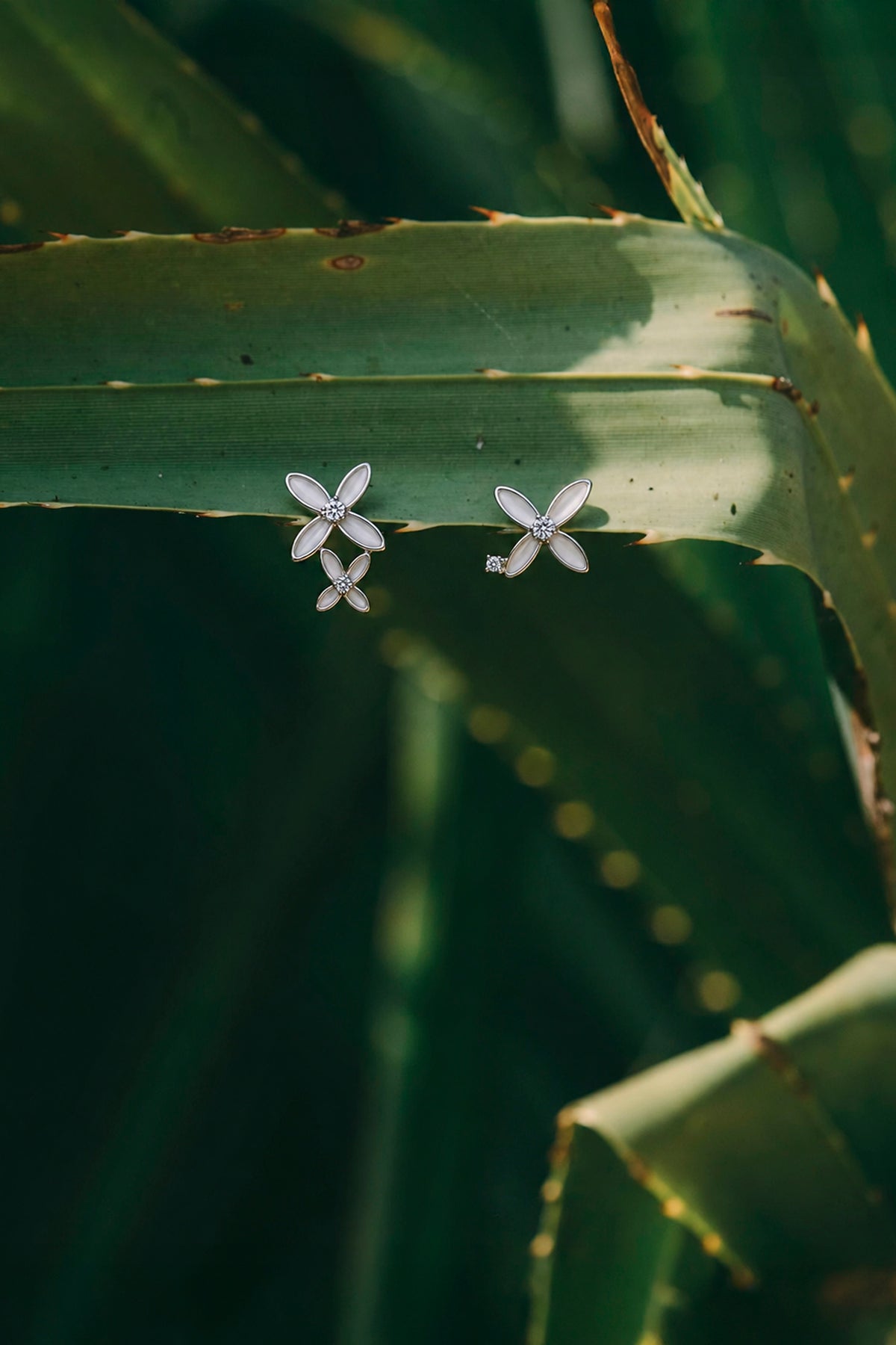 Joyería de Plata 925