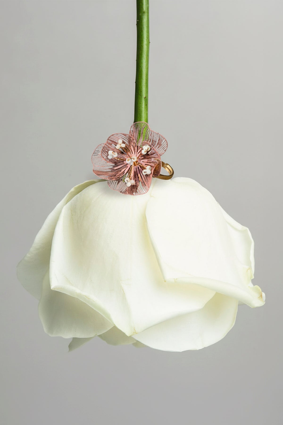 Anillo Camélia Rosa