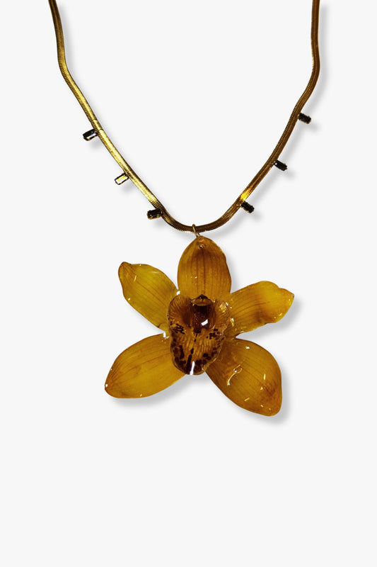 collar acero inoxidable Venecia con orquídea natural ambar