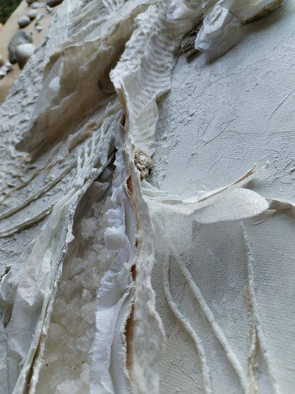 Som de Vent i Ales (Somos de Viento y Alas)